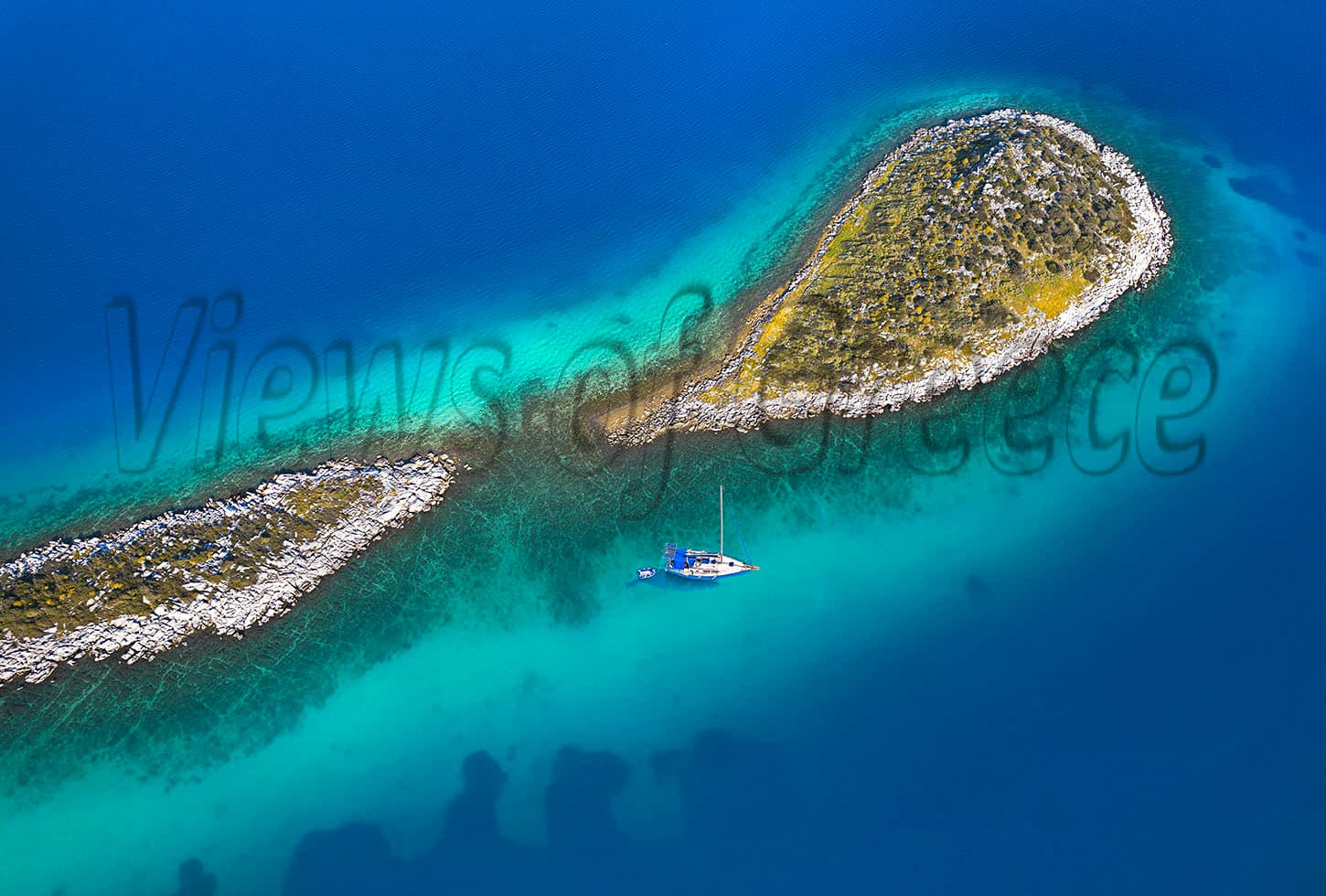 Porto Buffalo